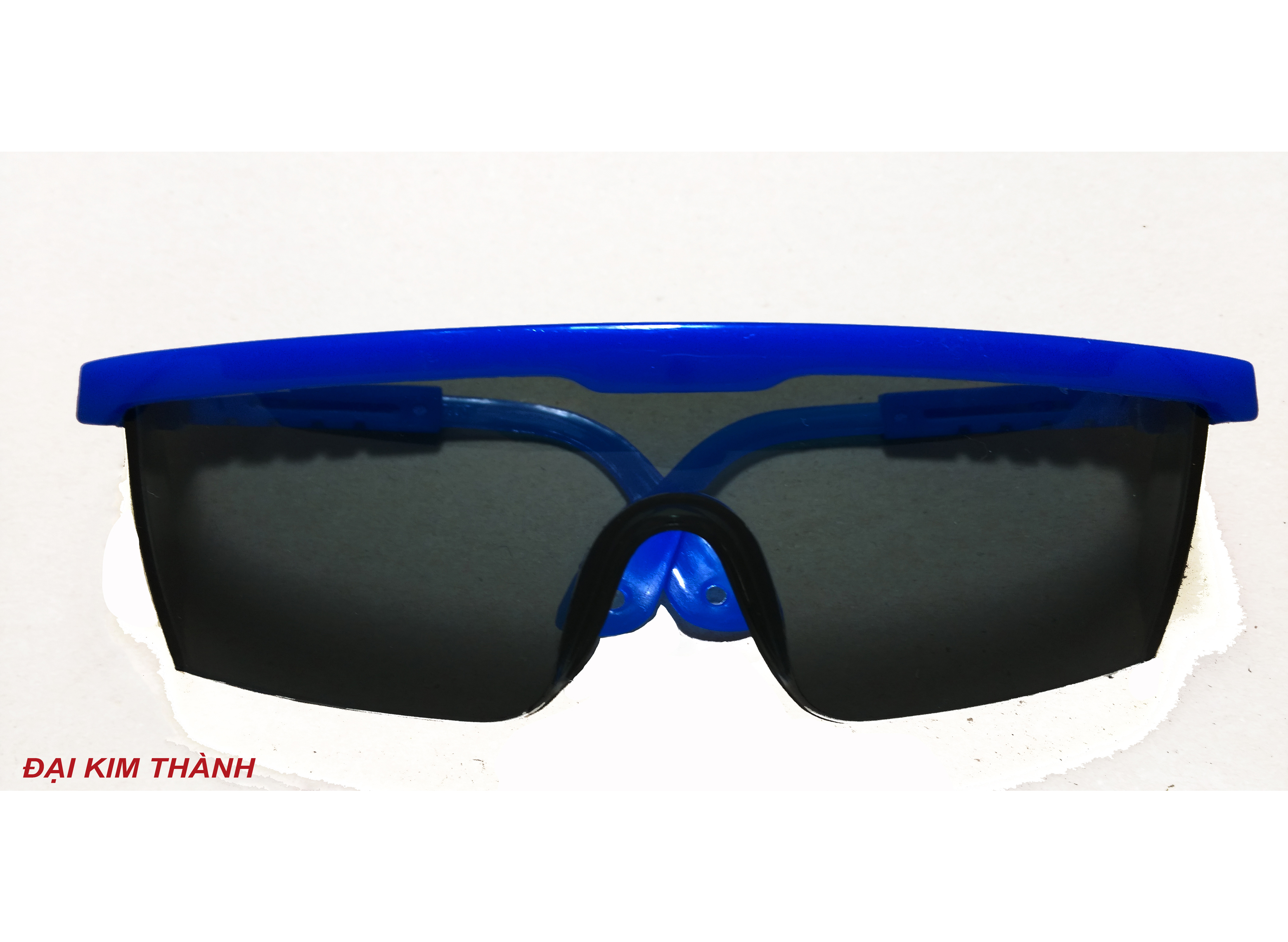 Blue & Black Goggles